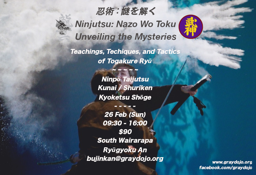 Ninjutsu: Nazo Wo Toku・忍術：謎を解く